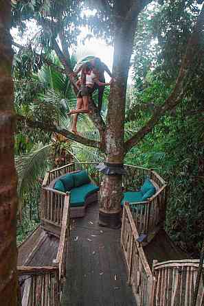 Дом Enchanted Hobbit Treehouse расположен в джунглях Ubud