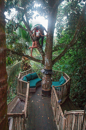 Дом Enchanted Hobbit Treehouse расположен в джунглях Ubud - изображение 4