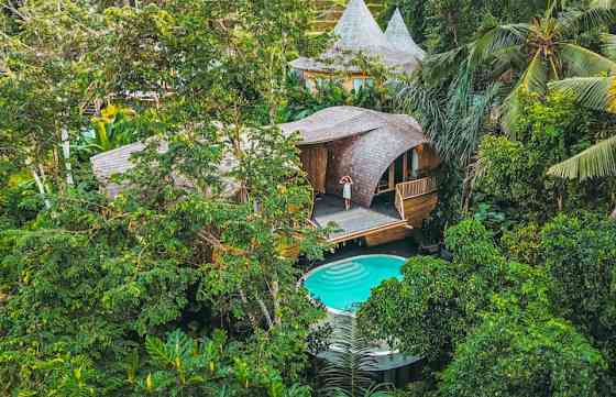 Jungleight Bali - The Oval Ubud