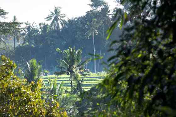 Уединенный побег для пары с панорамным видом Ubud