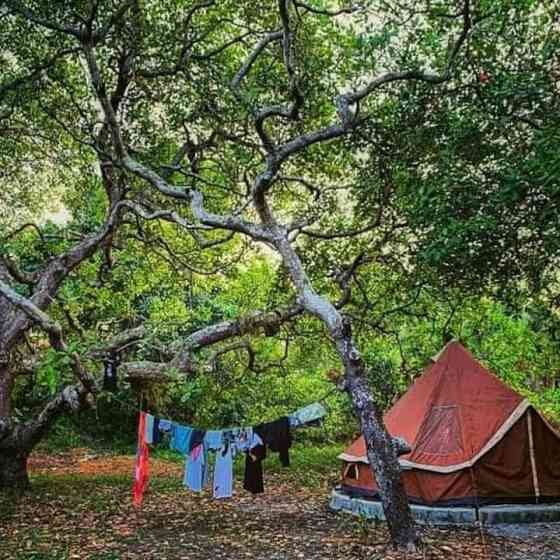 Cashew Nut Bungalows kohmook Транг