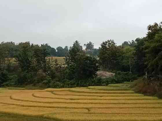 บ้านหัวนาในหุบเขา วิวแม่น้ำ สะพาน แม่ตื่น-ม่อนจอง-อมก๋อย Tak