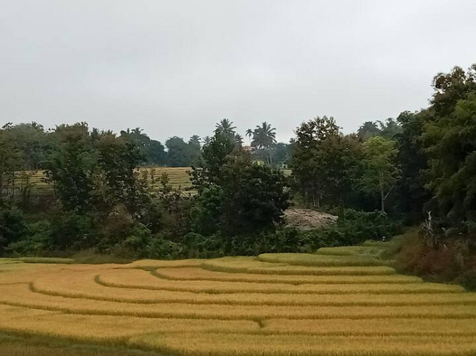 บ้านหัวนาในหุบเขา วิวแม่น้ำ สะพาน แม่ตื่น-ม่อนจอง-อมก๋อย Так - изображение 5