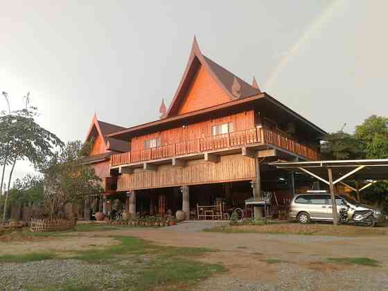 Золотой тик Сукхотхай Sukhothai