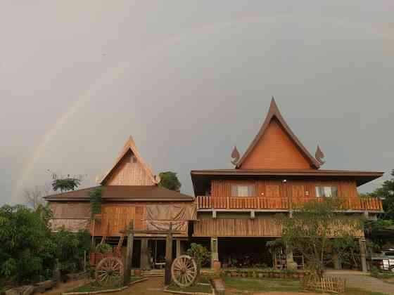 Золотой тик Сукхотхай Sukhothai