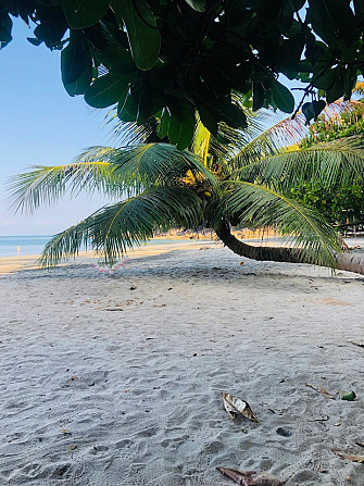 Lae Tawan Bungalows Koh Chang Ranong Ranong - photo 6