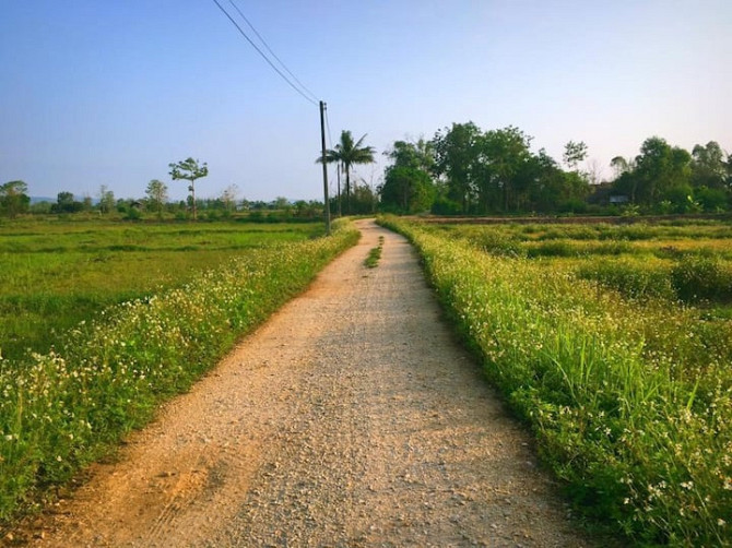 Жилье на ферме Phayao - photo 1