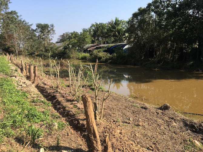 Жилье на ферме Phayao - photo 3