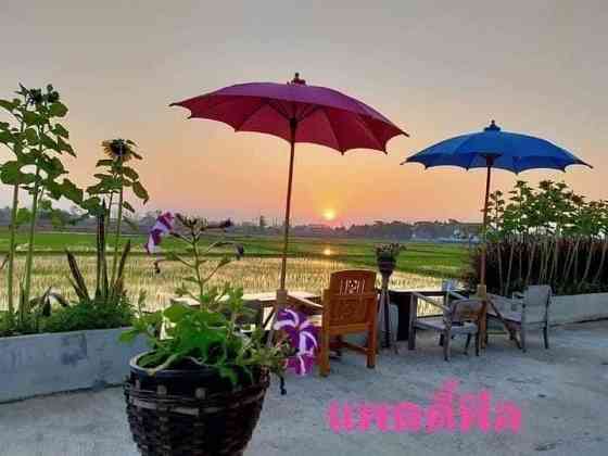 Paddy Field at home Мэчан