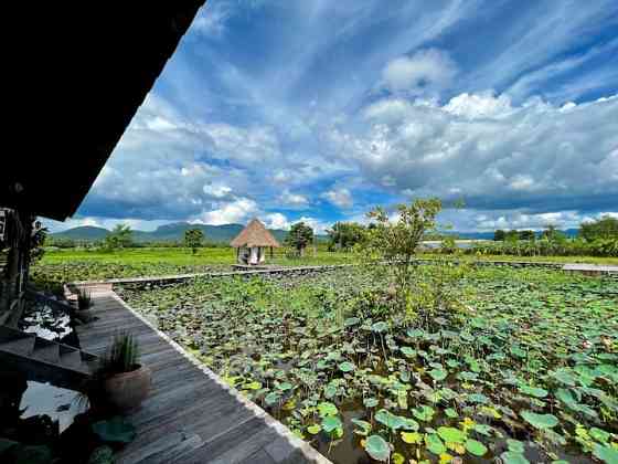 Наследие Сангны San Kamphaeng