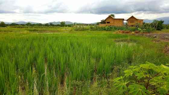 Suan Saek Saek Bamboo Farmstay San Pa Tong