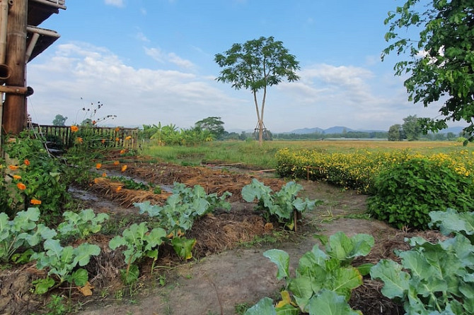 Suan Saek Saek Bamboo Farmstay San Pa Tong - photo 2