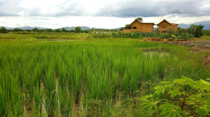 Suan Saek Saek Bamboo Farmstay San Pa Tong - photo 6