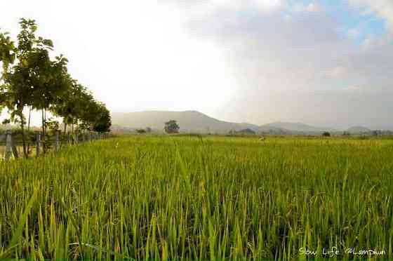 BaanSukJaiOrganicFarm Lamphun