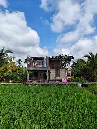 hueankwankao (ต้นข้าว) Лампхун