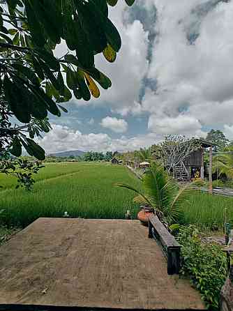 hueankwankao (Huen Luang) Лампхун