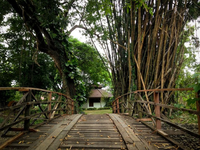 Бунгало для творческого пруда с лотосами San Kamphaeng - photo 4