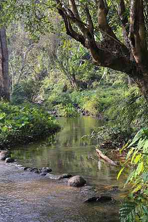 Serene Chiang Mai Getaway Лампанг