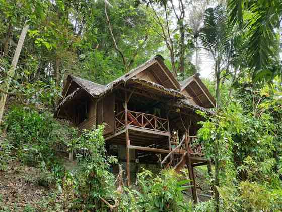 Jungle Studio Bungalow Krabi