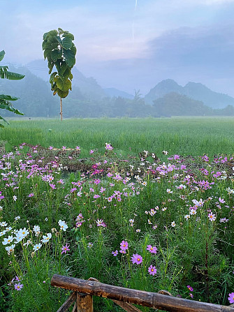 Khaopoon Camping (เต็นท์ชมดาว) Kanchanaburi - photo 6