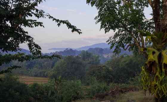 Элегантный номер в бутик-хаусе - сельская жизнь Chiang Rai