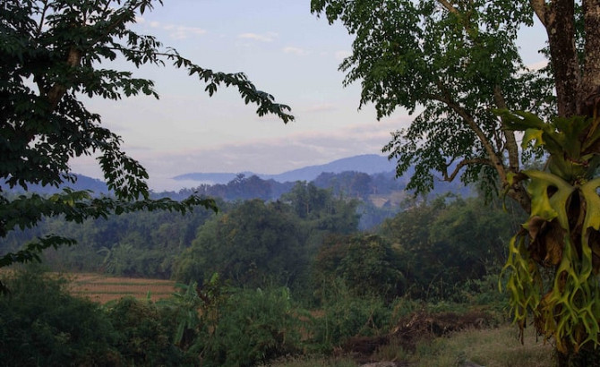 Элегантный номер в бутик-хаусе - сельская жизнь Chiang Rai - photo 5