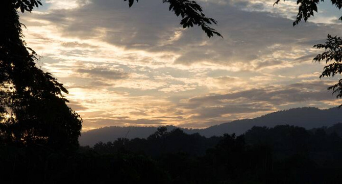 Отдельная комната в бутик-хаусе - сельская жизнь Chiang Rai - photo 6