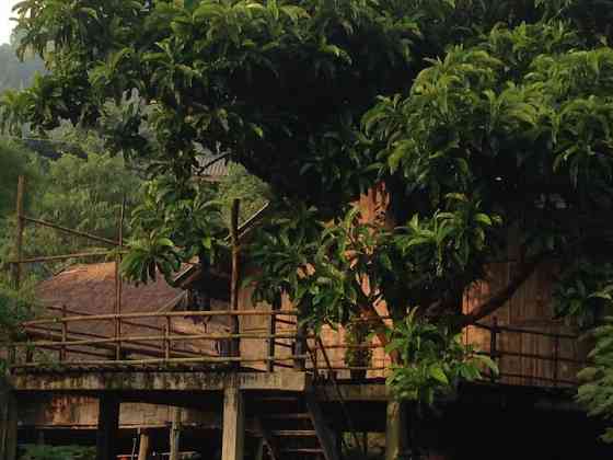 Tree House Homestay Akha Чианграй