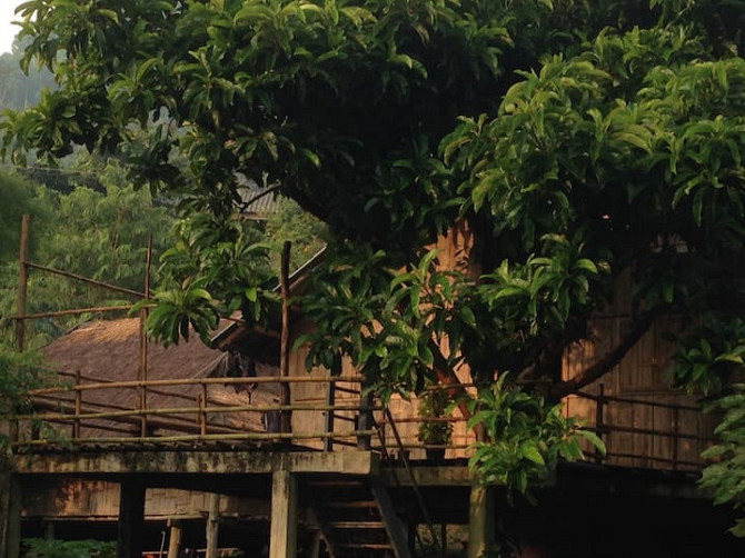 Tree House Homestay Akha Чианграй - изображение 1