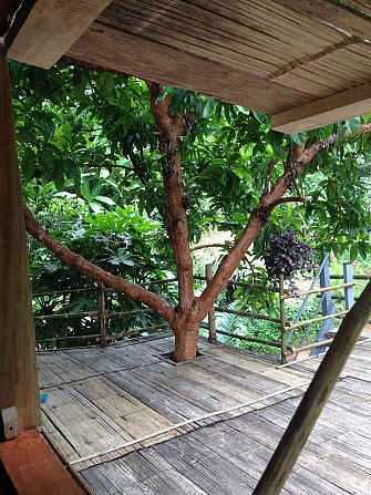 Tree House Homestay Akha Чианграй - изображение 5