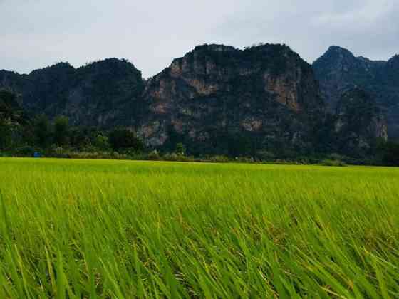 Baan Chai Khao Village *Lek Farm Stay* Uthai Thani