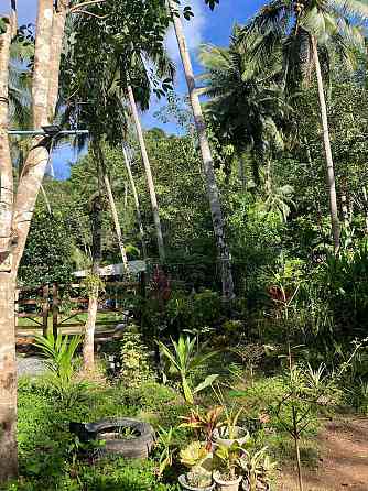 Tiny Home on  koh Kood Трат