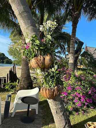 Amore Villa by Utalay Koh Chang Trat