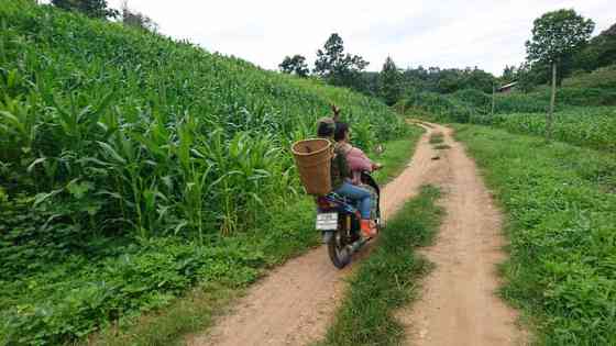 кемпинг с шампунем сача Phrae