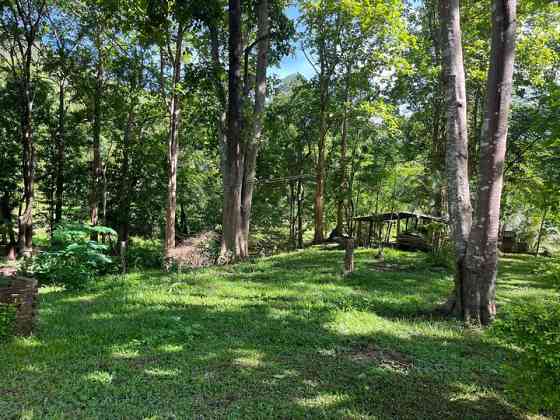 Golden Cloud Farm Phrae