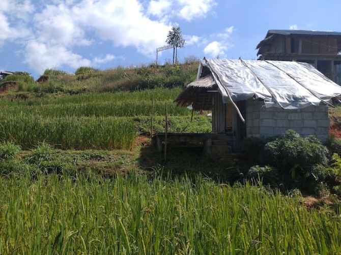 Домики с видом на горы и рисовые поля в долине Phrae - photo 1