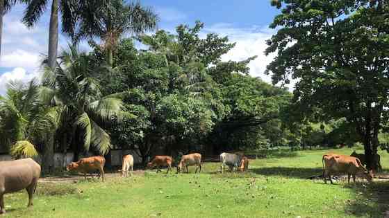 Посольство рядом с универмагом Vienne Chanthaburi рядом с Sna Golf Nong Khai