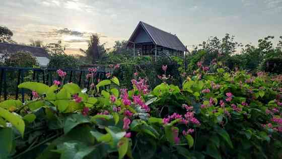 บ้านสวนเพชรนภัทร ฟาร์มสเตย์ Пхитсанулок