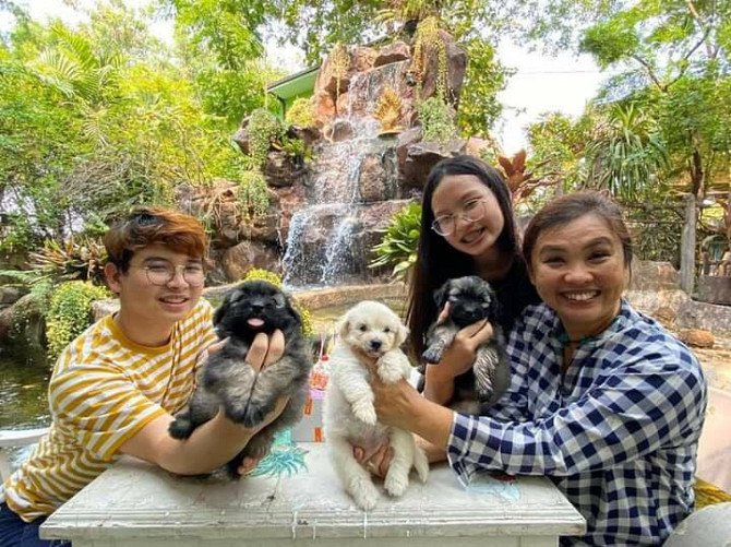 Домик на природе Пратхум-Тани Khlong Luang - photo 5