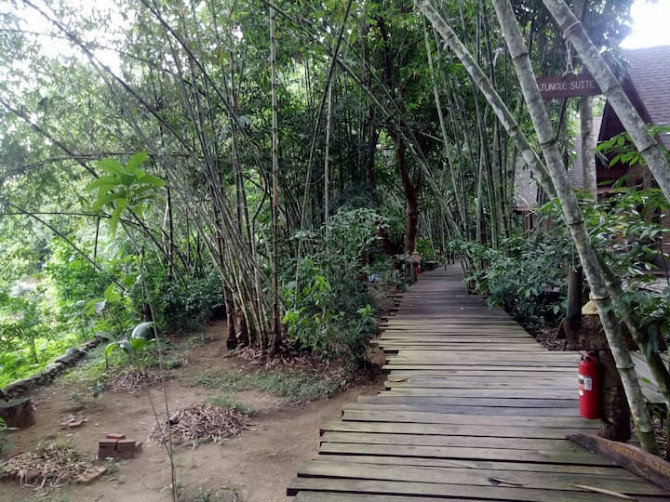 Кунг Тха возле курорта River View. Nakhon Si Thammarat - photo 6