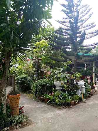 Garden Homestay вентилятор с двуспальной кроватью Surat Thani