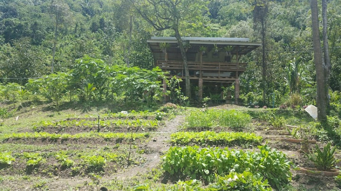 Жилье в Блэкклиффе: побег от городской суеты Ron Phibun - photo 3