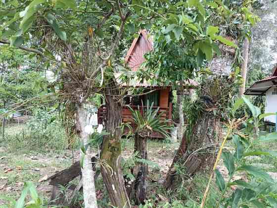 Forest in Town Cabbin4 Udon Thani