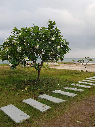 Курорт Big Bird Island Resort Tha Mai - photo 4