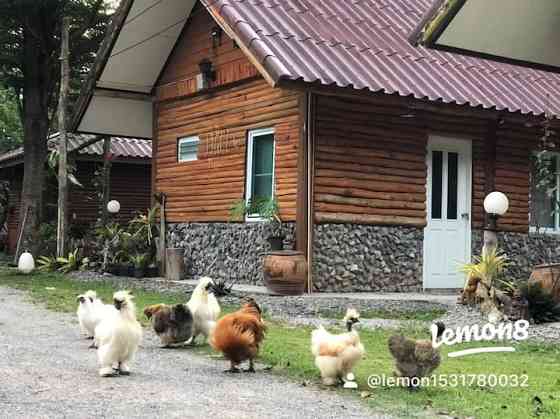 Проживание на ферме Baan Nai Ngongwal Чайяпхум