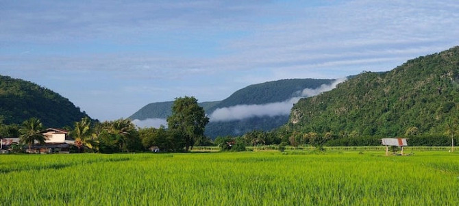 Проживание на ферме Baan Nai Ngongwal Chaiyaphum - photo 2