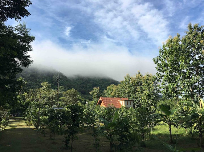 Жилье на ферме A&B.
The Mountain принимает фермерское жилье Chaiyaphum - photo 1