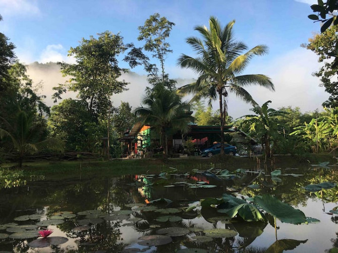 Жилье на ферме A&B.
The Mountain принимает фермерское жилье Chaiyaphum - photo 6