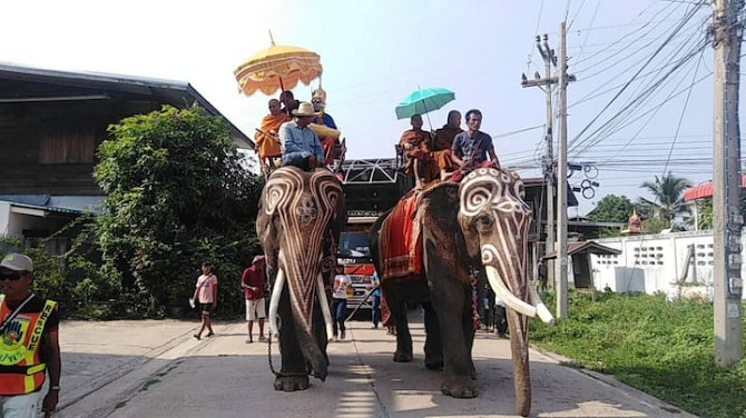 Воспитатель Buriram - photo 4