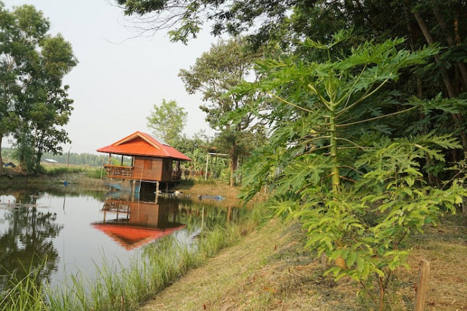 ภูผาฟาร์มสเตย์(Phupha Farmstay) Buriram - photo 4